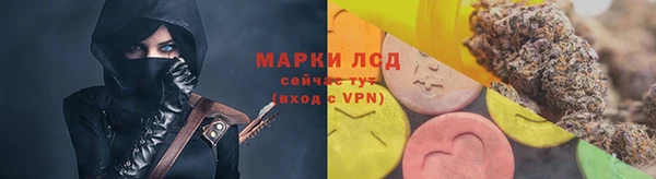 крисы Ростов