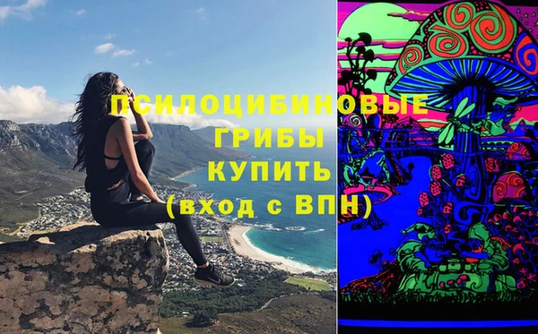 мет Богородицк
