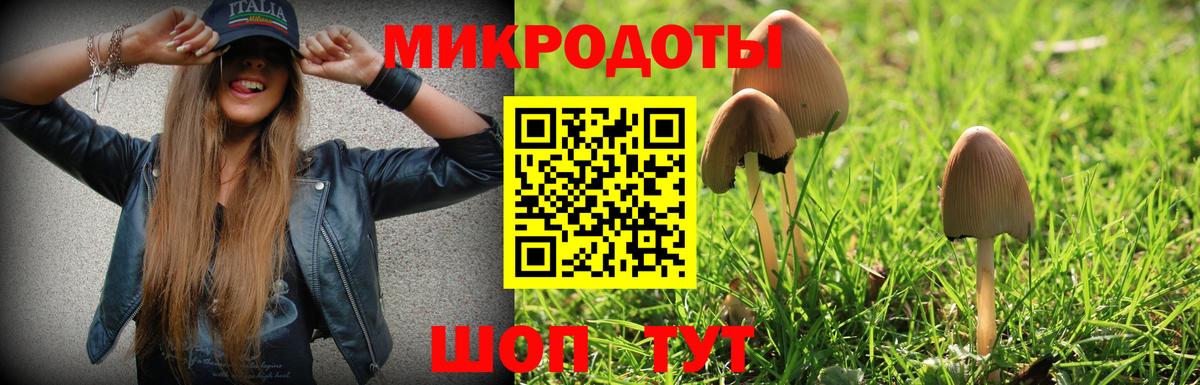 Реж  Псилоцибиновые грибы мицелий  Вход с VPN 